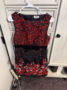 Sleeveless Black Midi Dress with Red Floral Embroidery